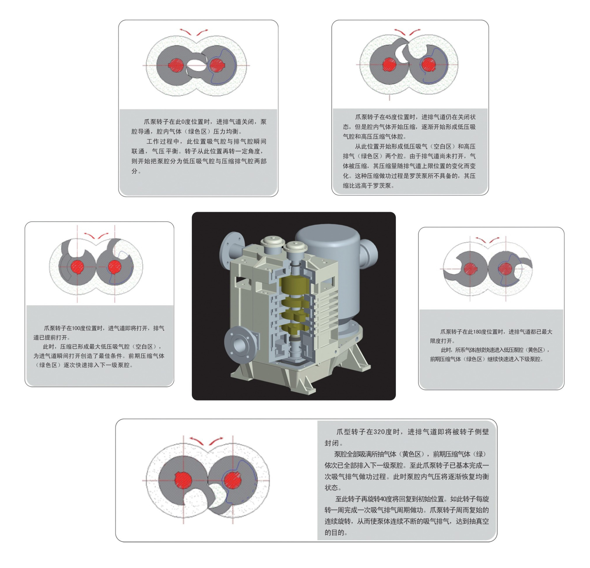 爪型干式真空泵結構圖